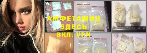 стаф Каменск-Шахтинский