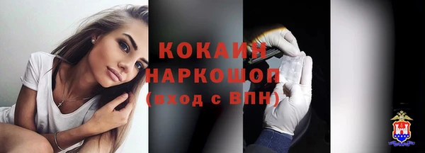 стаф Каменск-Шахтинский