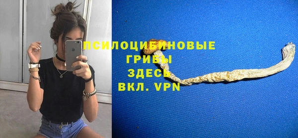 героин Каменка