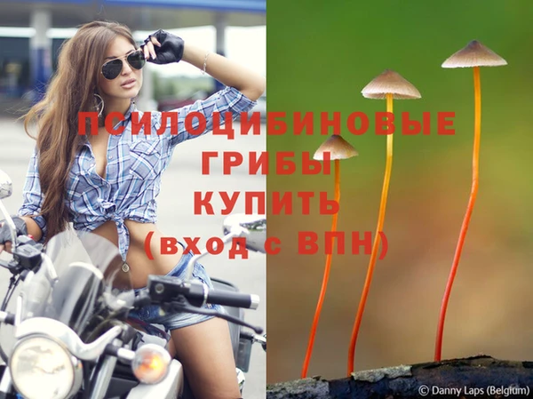ГАЛЛЮЦИНОГЕННЫЕ ГРИБЫ Каменногорск