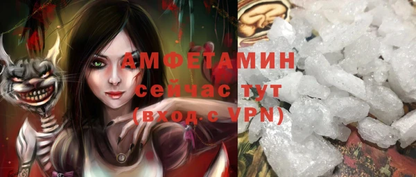 стаф Каменск-Шахтинский