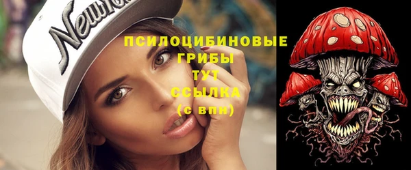героин Каменка