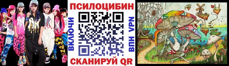 Купить где  Гуково  Псилоцибиновые грибы GOLDEN TEACHER 